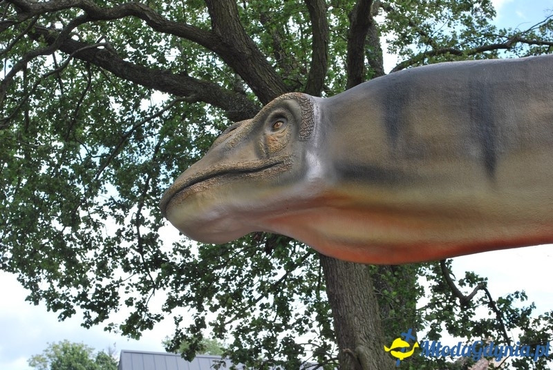 Park Ewolucji w Sławutówku 29.07.2016