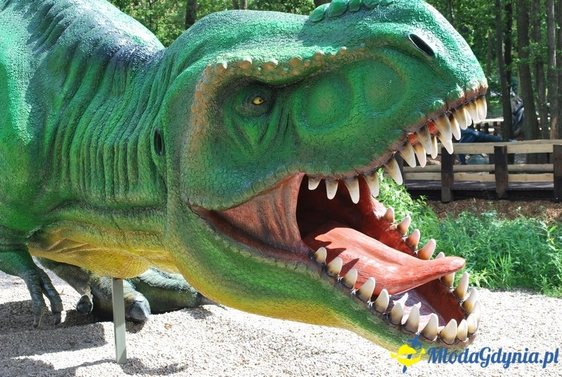 Park Ewolucji w Sławutówku 29.07.2016