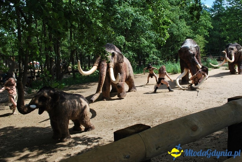 Park Ewolucji w Sławutówku 29.07.2016