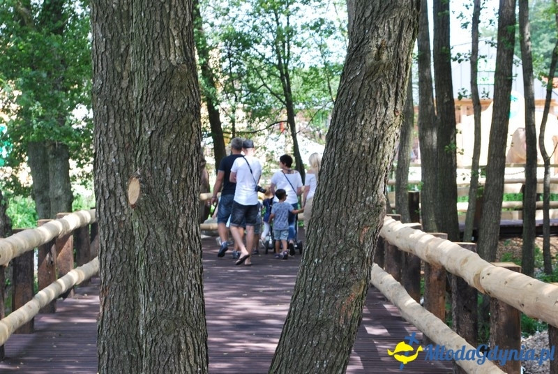 Park Ewolucji w Sławutówku 29.07.2016