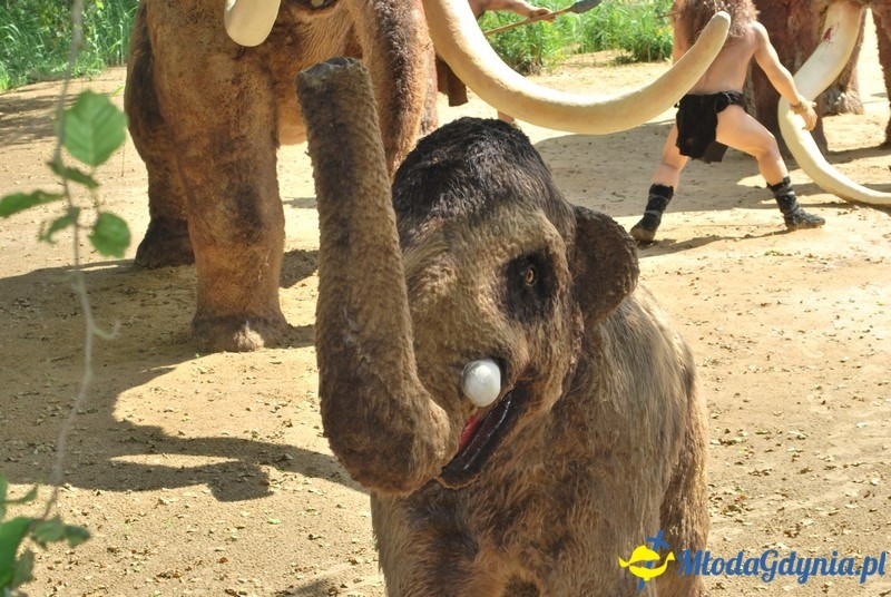 Park Ewolucji w Sławutówku 29.07.2016