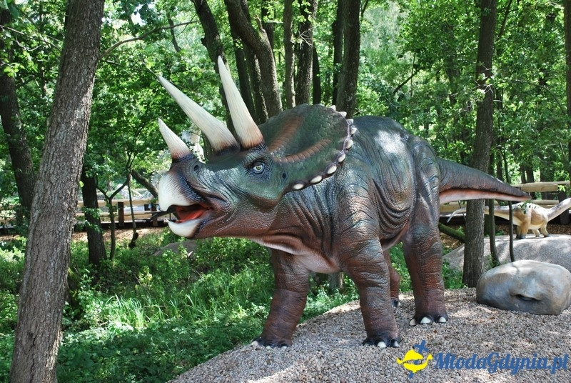 Park Ewolucji w Sławutówku 29.07.2016