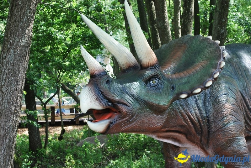 Park Ewolucji w Sławutówku 29.07.2016