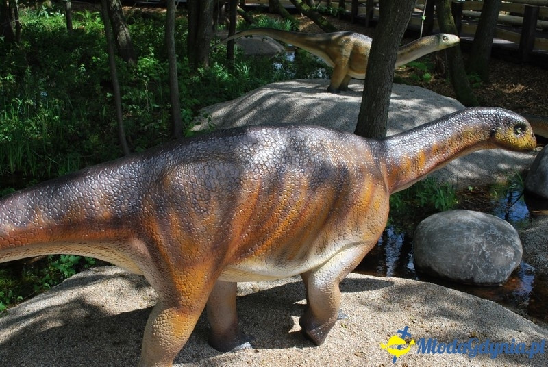 Park Ewolucji w Sławutówku 29.07.2016