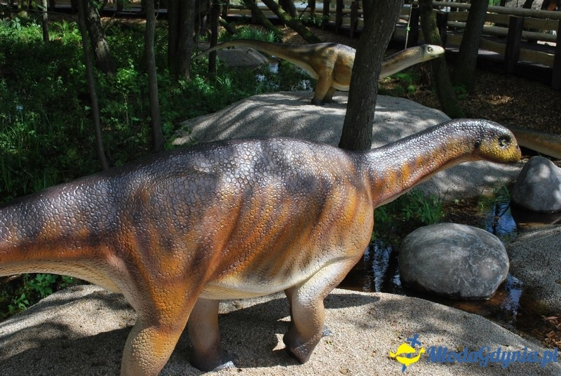 Park Ewolucji w Sławutówku 29.07.2016