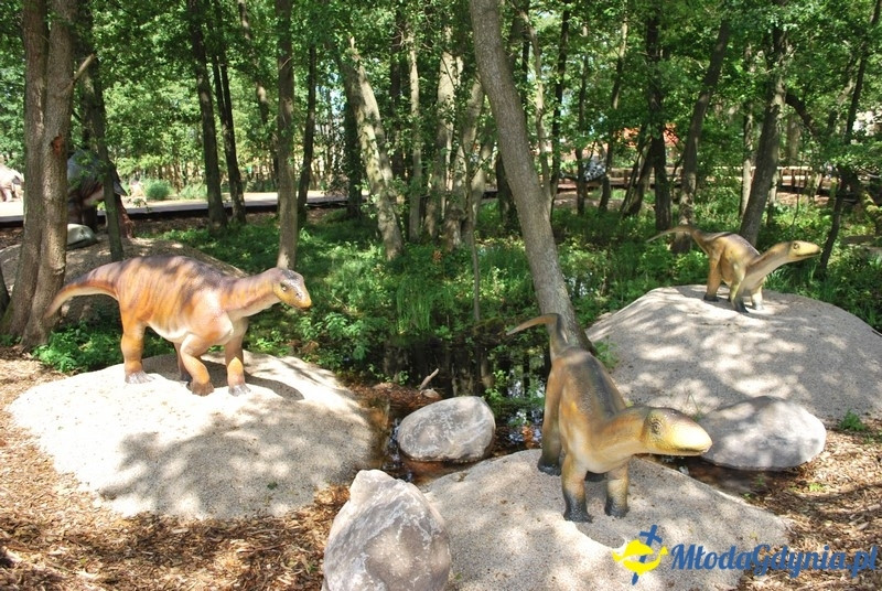 Park Ewolucji w Sławutówku 29.07.2016