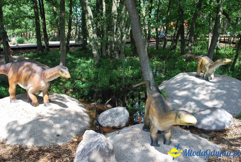 Park Ewolucji w Sławutówku 29.07.2016