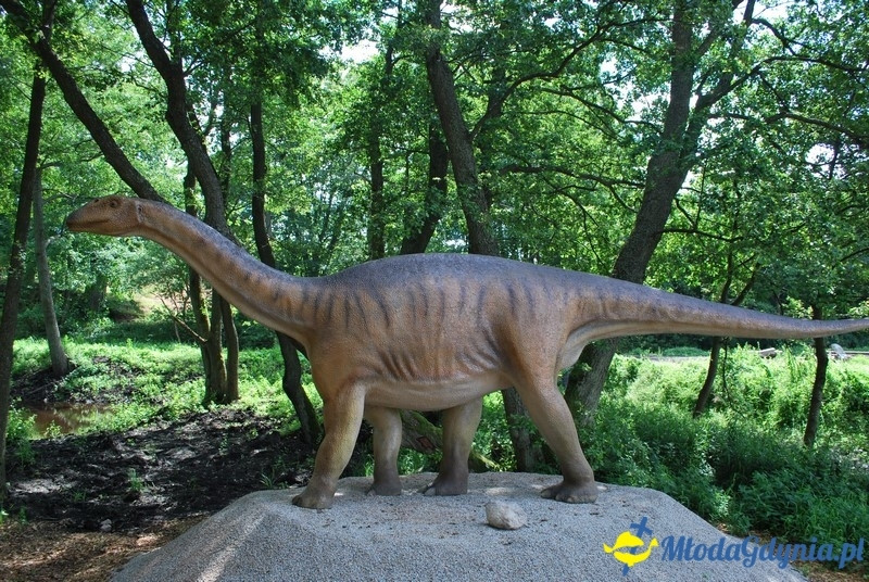 Park Ewolucji w Sławutówku 29.07.2016