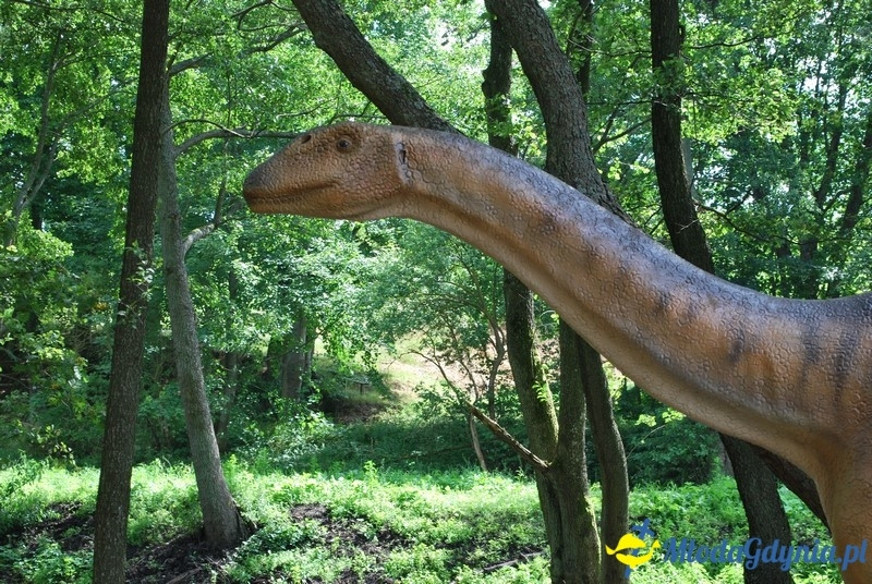 Park Ewolucji w Sławutówku 29.07.2016