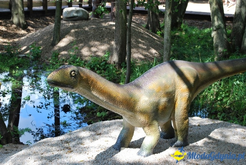 Park Ewolucji w Sławutówku 29.07.2016