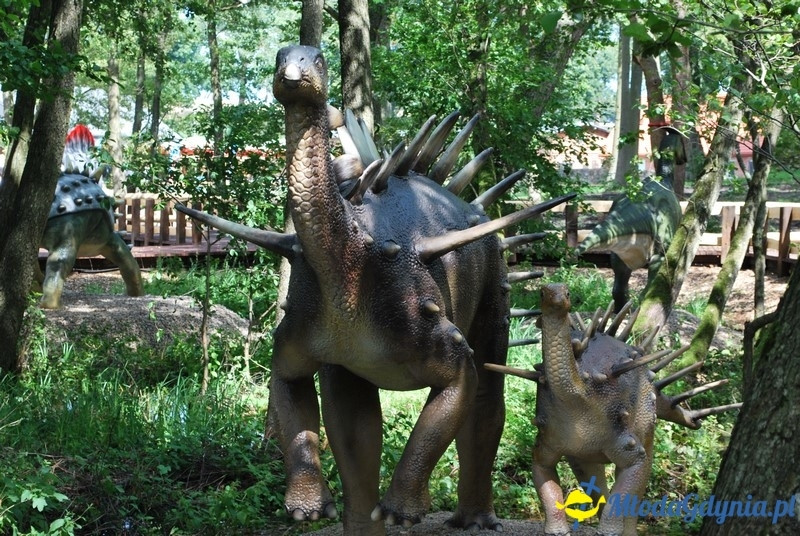 Park Ewolucji w Sławutówku 29.07.2016