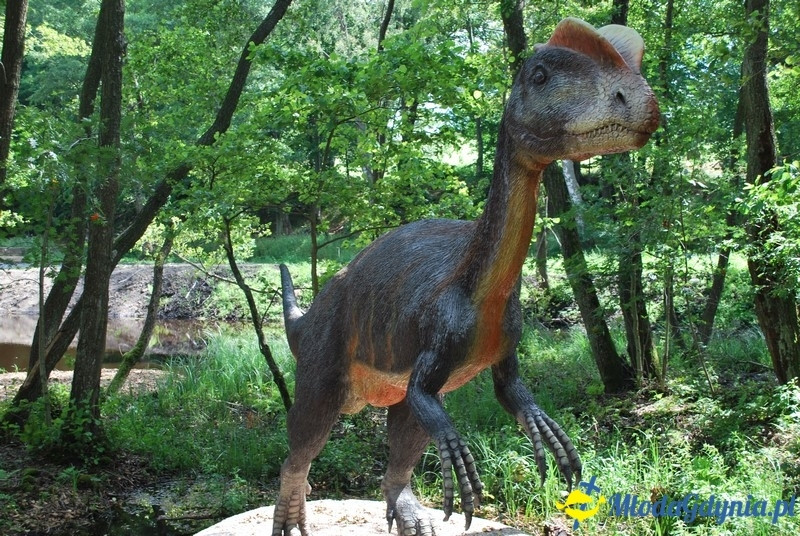 Park Ewolucji w Sławutówku 29.07.2016