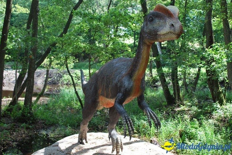 Park Ewolucji w Sławutówku 29.07.2016