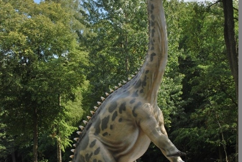 Park Ewolucji w Sławutówku 29.07.2016