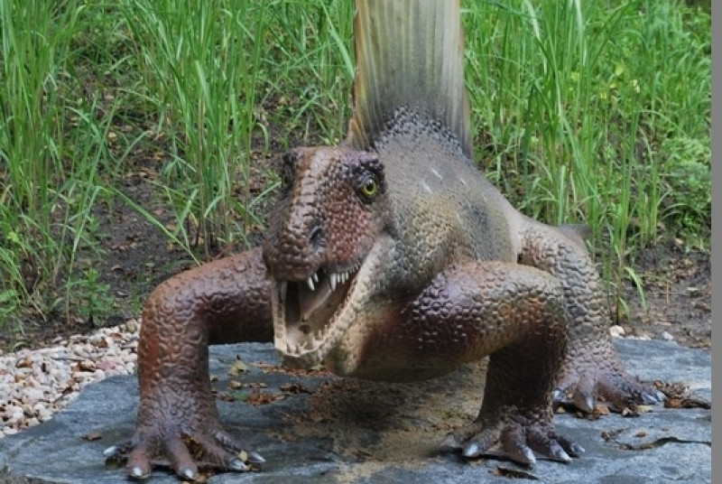 Park Ewolucji w Sławutówku 29.07.2016