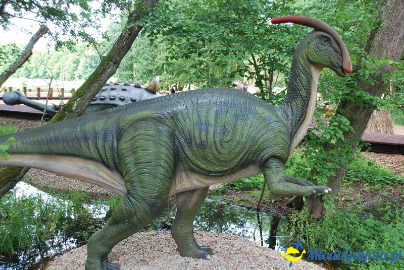 Park Ewolucji w Sławutówku 29.07.2016