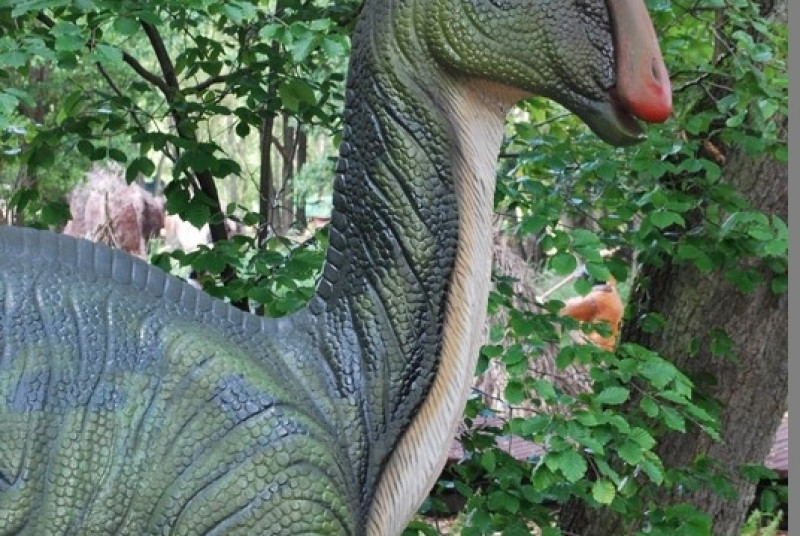 Park Ewolucji w Sławutówku 29.07.2016