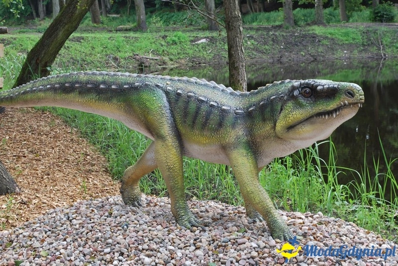 Park Ewolucji w Sławutówku 29.07.2016