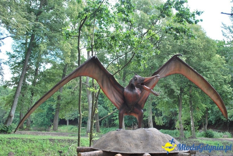 Park Ewolucji w Sławutówku 29.07.2016