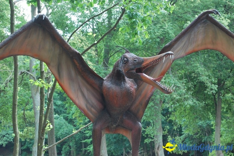 Park Ewolucji w Sławutówku 29.07.2016