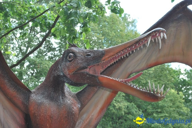 Park Ewolucji w Sławutówku 29.07.2016