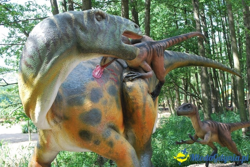 Park Ewolucji w Sławutówku 29.07.2016