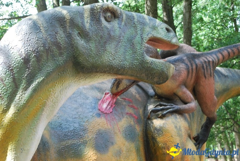 Park Ewolucji w Sławutówku 29.07.2016