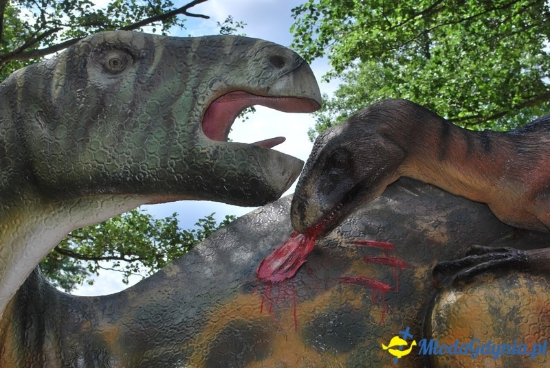 Park Ewolucji w Sławutówku 29.07.2016