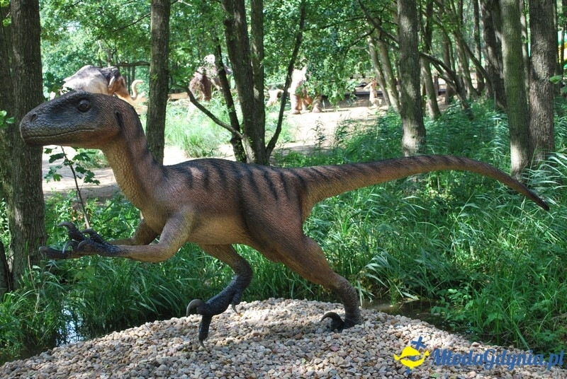 Park Ewolucji w Sławutówku 29.07.2016