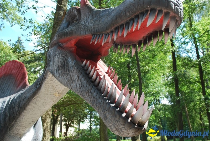 Park Ewolucji w Sławutówku 29.07.2016