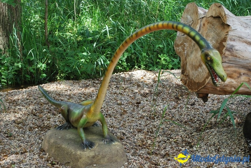 Park Ewolucji w Sławutówku 29.07.2016