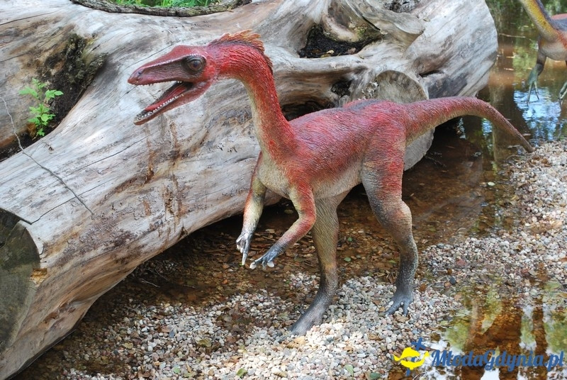 Park Ewolucji w Sławutówku 29.07.2016