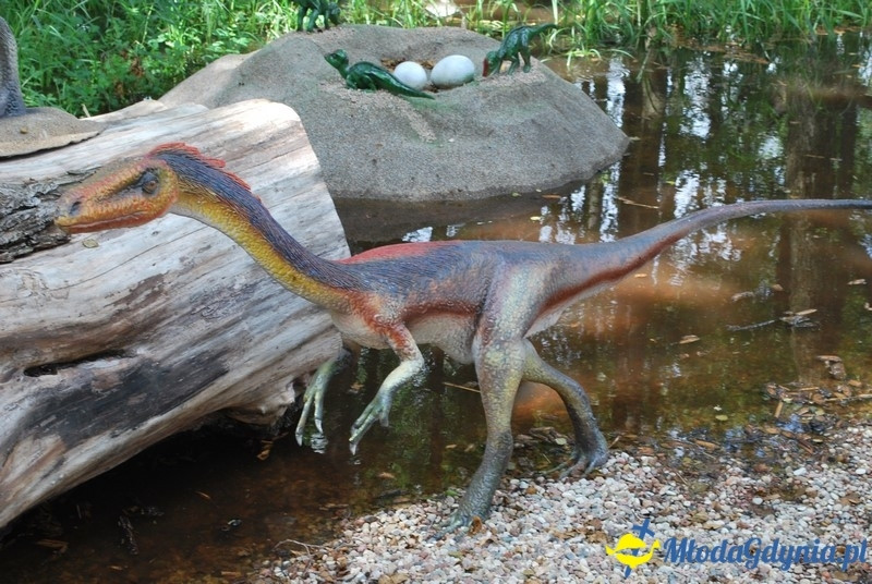 Park Ewolucji w Sławutówku 29.07.2016