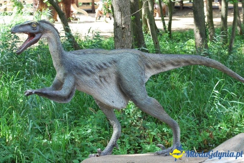 Park Ewolucji w Sławutówku 29.07.2016