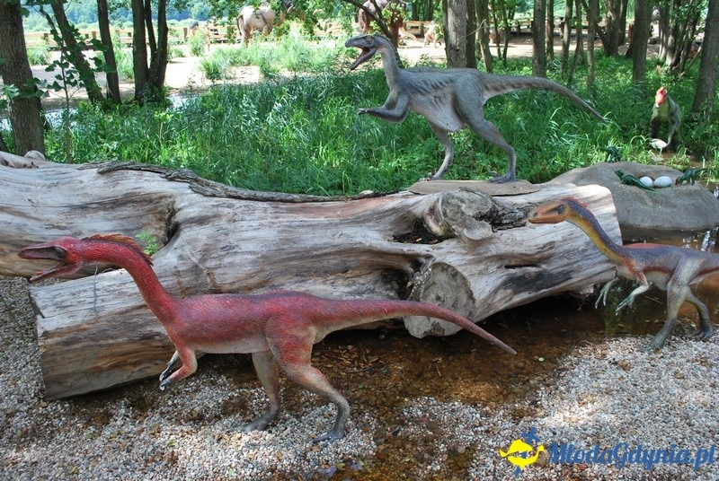 Park Ewolucji w Sławutówku 29.07.2016