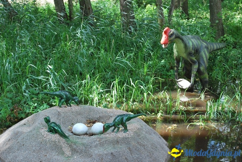 Park Ewolucji w Sławutówku 29.07.2016