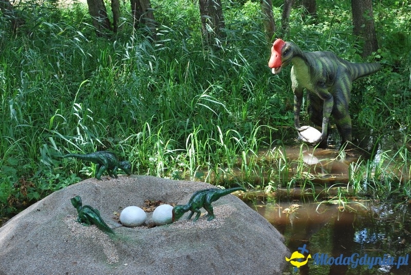 Park Ewolucji w Sławutówku 29.07.2016