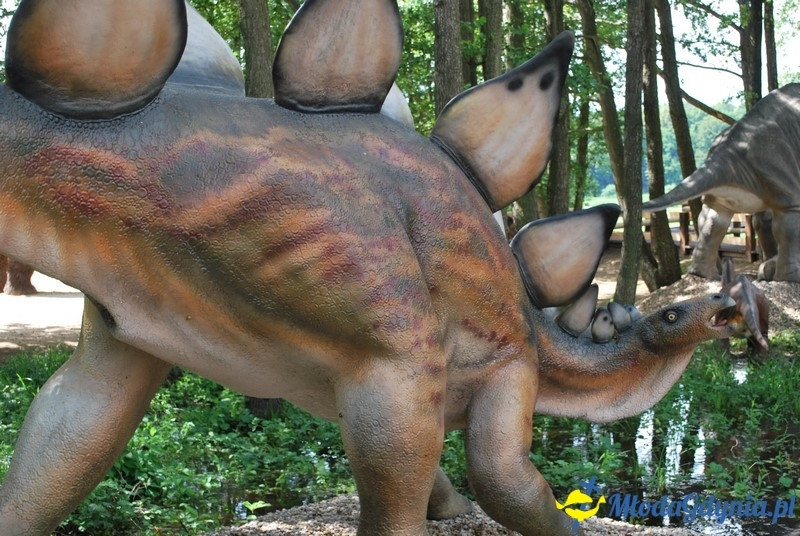 Park Ewolucji w Sławutówku 29.07.2016