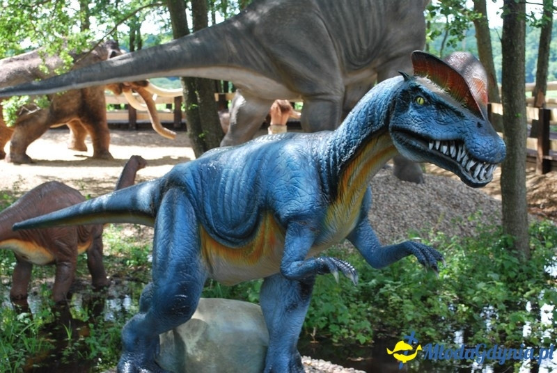 Park Ewolucji w Sławutówku 29.07.2016