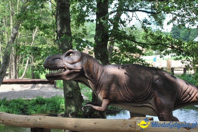Park Ewolucji w Sławutówku 29.07.2016