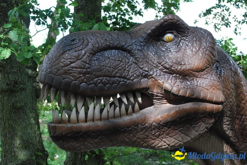 Park Ewolucji w Sławutówku 29.07.2016