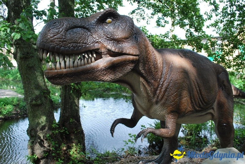 Park Ewolucji w Sławutówku 29.07.2016