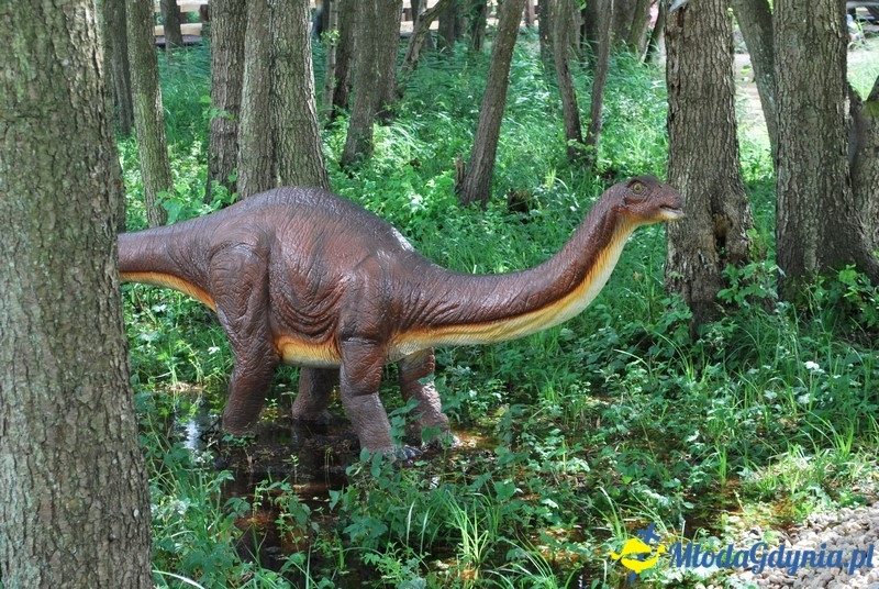 Park Ewolucji w Sławutówku 29.07.2016