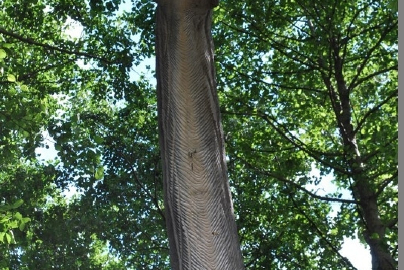 Park Ewolucji w Sławutówku 29.07.2016