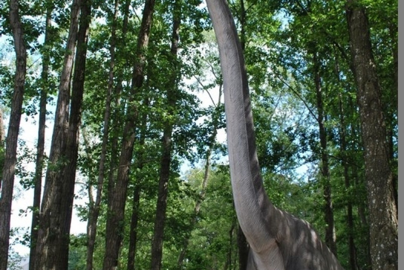 Park Ewolucji w Sławutówku 29.07.2016