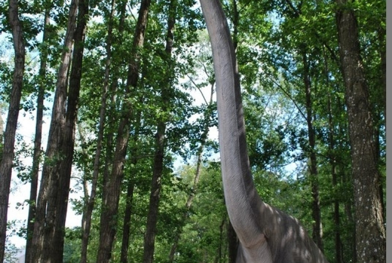 Park Ewolucji w Sławutówku 29.07.2016