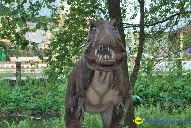 Park Ewolucji w Sławutówku 29.07.2016