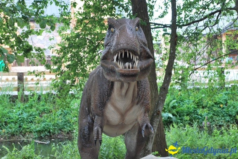 Park Ewolucji w Sławutówku 29.07.2016