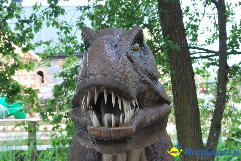 Park Ewolucji w Sławutówku 29.07.2016