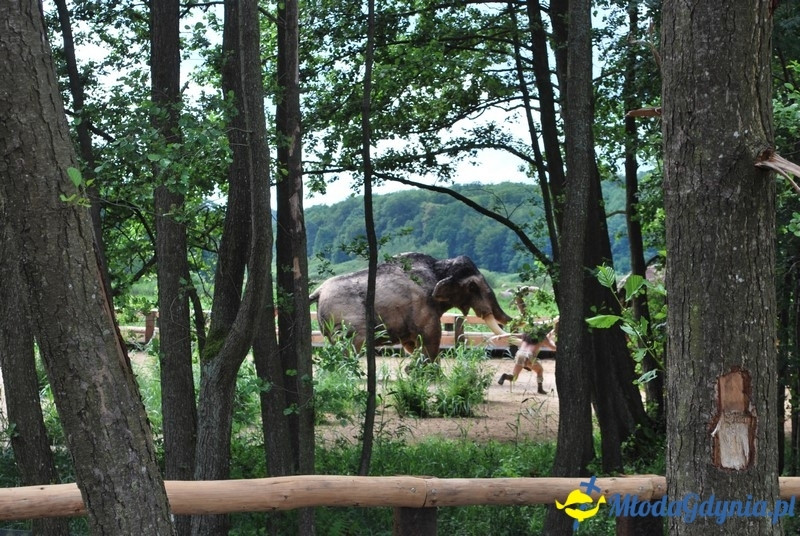 Park Ewolucji w Sławutówku 29.07.2016